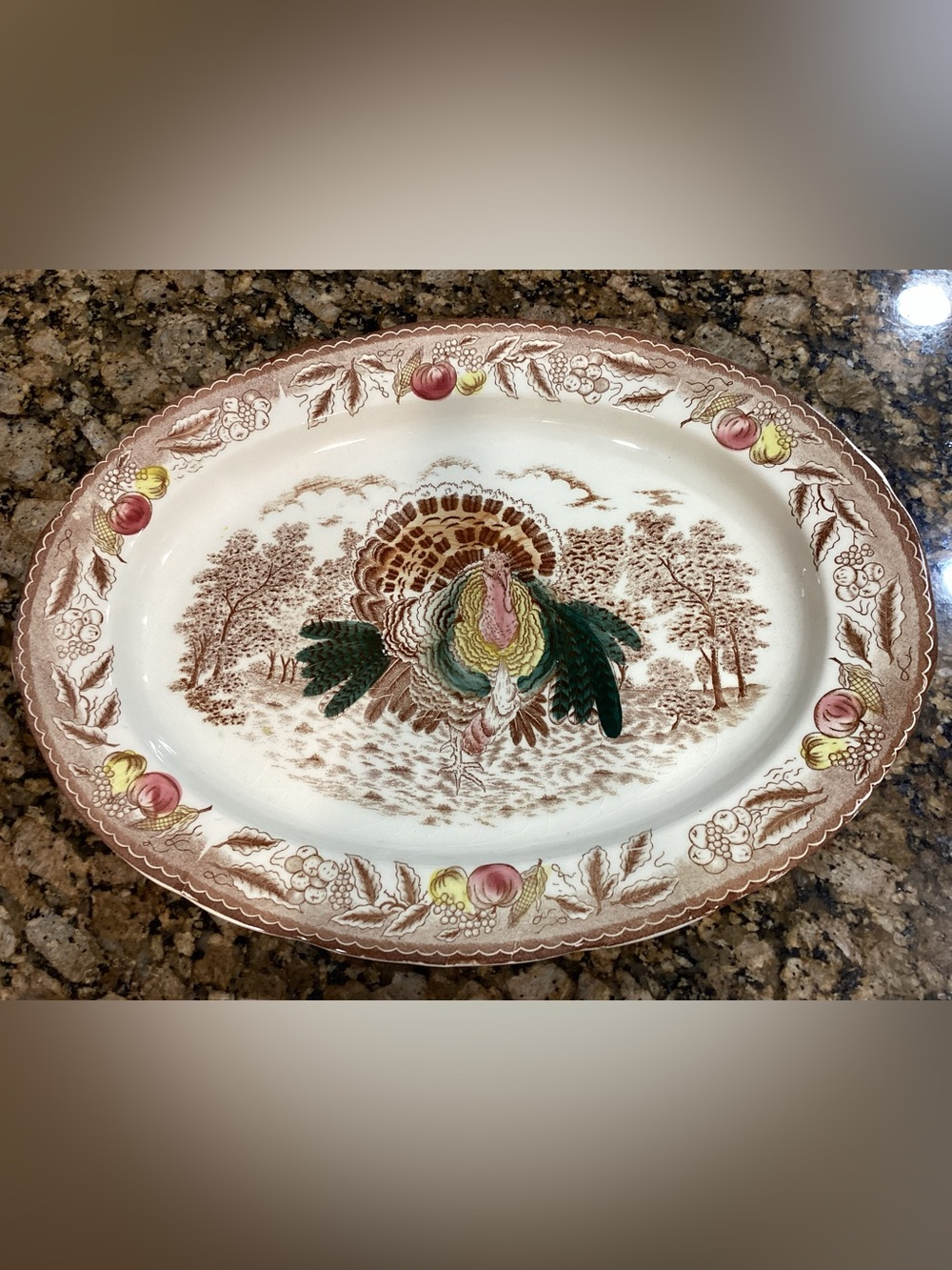 Vintage Transferware  Large Turkey Platter